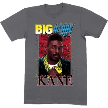 Image of Big Daddy Kane - Ropes Unisex Medium T-Shirt - Grey