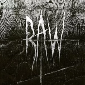 Image of From the First Glass to the Grave by Raw CD Album