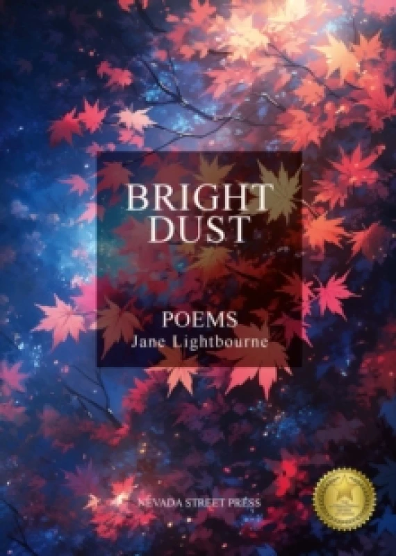 Image of Bright Dust Paperback / softback