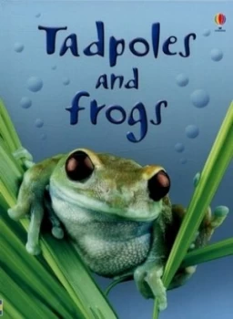Image of Tadpoles and Frogs by Anna Milbourne and Patrizia Donaera and Zo Wray and Christopher Mattison and Alison Kelly Hardback