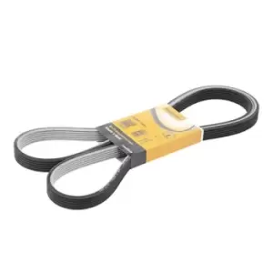 Image of CONTITECH V-ribbed belt BMW 6DPK1817 11287800345,11288506994,11288512069 Serpentine belt,Auxiliary belt,Poly V-belt,Ribbed belt,Multi V-belt,Poly belt