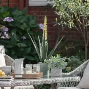 Image of Crossland Grove Potted Aloe With Flowers Green White H660Mm