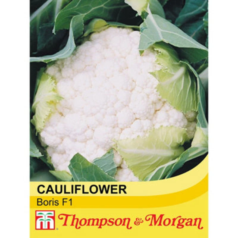 Image of Thompson & Morgan Cauliflower Boris F1 Hybrid 1 Seed Packet (15 Seeds)