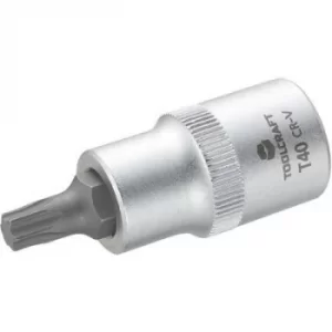 Image of TOOLCRAFT 816166 Star Bit T 40 1/2 (12.5 mm)