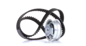 Image of INA Timing belt kit VW,AUDI,SKODA 530 0171 10 06A109119B,06A109119C,06A109119D 06A109119J,06A109119K,06A109479,06A109479A,06A109479B,06A109479C