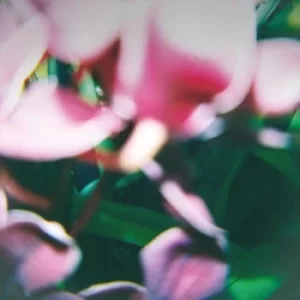 Image of You Make Everything Disappear by Trade Wind CD Album