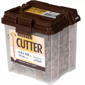 Image of Reisser Cutter Pozi Screw Tub 5.0 x 100mm (250 Pack)