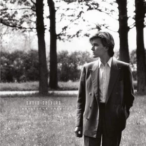 Image of David Sylvian - Brilliant Trees Vinyl