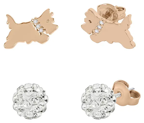 Image of Radley RYJ1314S Set of 2 Pairs of Stud Earrings Jewellery