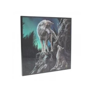 Image of Guidance Small Crystal Clear Picture