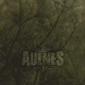 Image of Aulnes by Aulnes CD Album