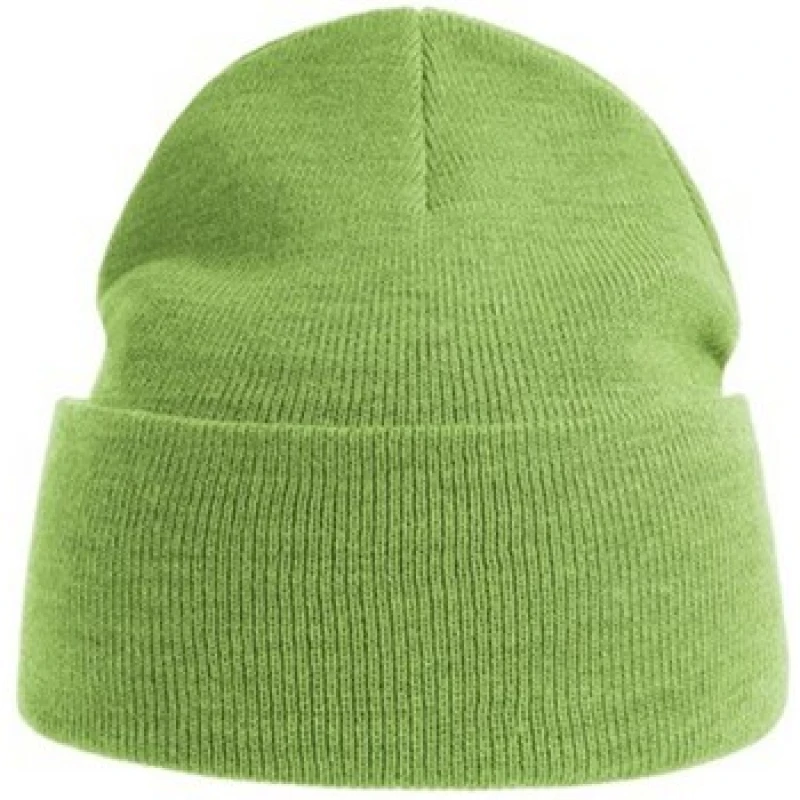 Image of Atlantis Atlantis Men Pure Beanie in Lime Lime One Size Male 5063107615206