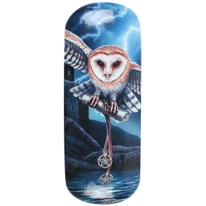 Image of The Heart Of The Storm Glasses Case By Lisa Parker