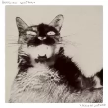 Image of Afraid of Nothing