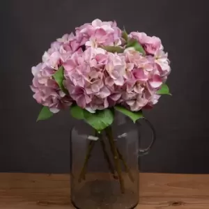 Image of Shabby Pink Single Hydrangea