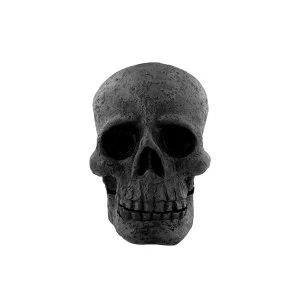 Image of Skull Incense Cone Holder