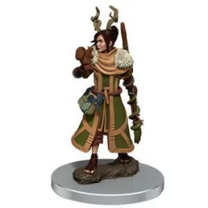 Image of D&amp;D Icons of the Realms Premium Figures (W7) Female Human Druid