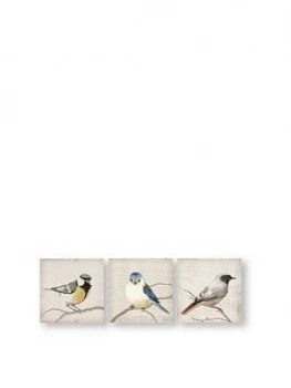 Image of Graham & Brown Set Of 3 Perched Bird Canvas Prints