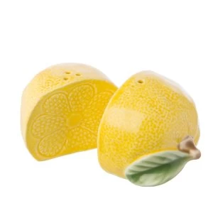 Image of Sass & Belle Lemon Salt & Pepper Shaker Set