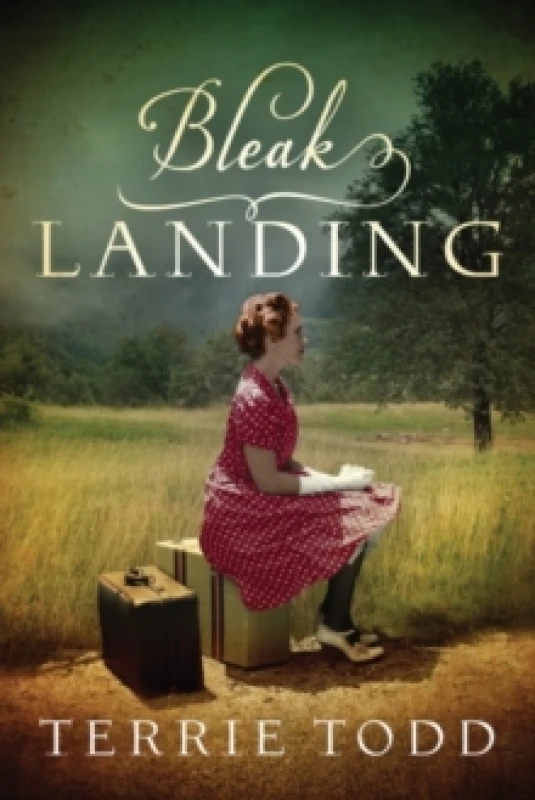 Image of Bleak Landing Paperback / softback
