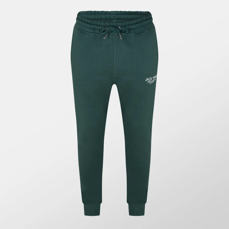 Image of Jack Wills Haydor Logo Joggers Mens Dark Pine male XS