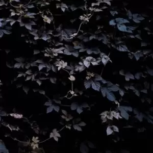 Image of Vivid Flu by Michael Vallera CD Album