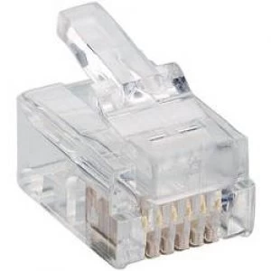 Image of Lumberg P 128 Modular Plug 6p6c RJ12 Plug straight Transparent