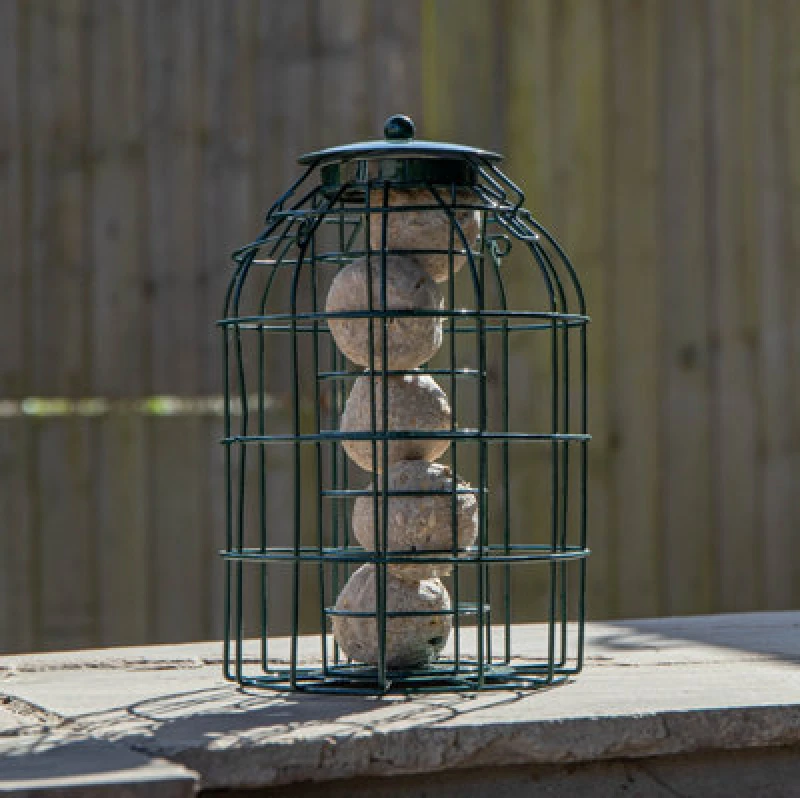 Image of Samuel Alexander SA Hanging Bird Fat Ball Feeder with Squirrel Guard Green