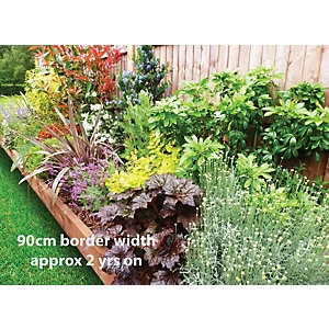 Image of Garden On A Roll Mixed Sunny Border Pack 10m x 60cm Plants