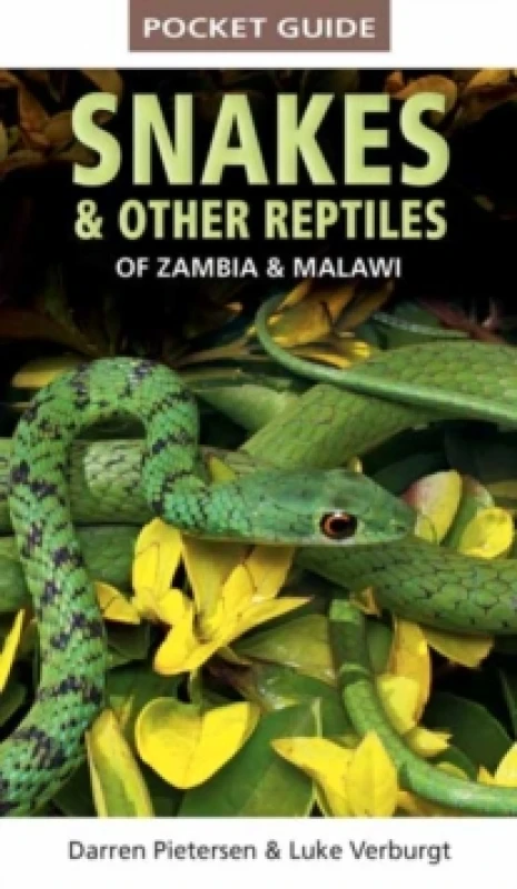Image of Pocket Guide to Snakes & Other Reptiles of Zambia and Malawi Paperback / softback
