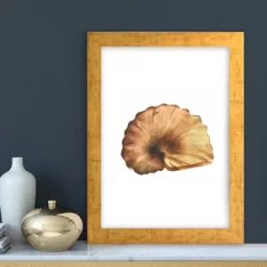 Image of AC10212519556 Multicolor Decorative Framed MDF Painting