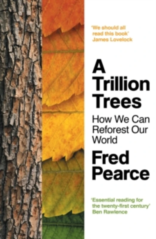 Image of A Trillion Trees : How We Can Reforest Our World Paperback / softback