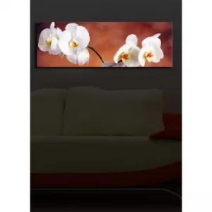 Image of 3090?ACT-19 Multicolor Decorative LED Lighted Canvas Painting