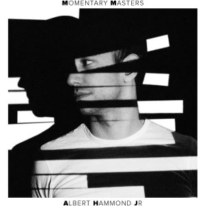 Image of Albert Hammond Jr. - Momentary Masters Vinyl