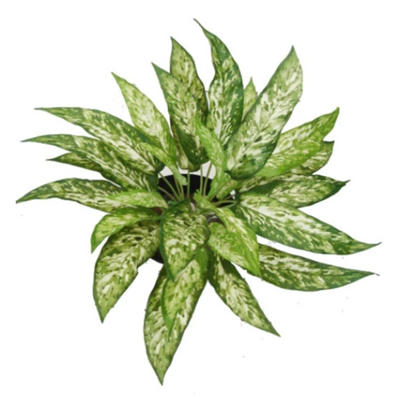 Image of N/A 45cm Fire Retardant Artificial Aglaonema Bush