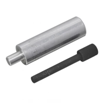 Image of Camshaft Pulley Alignment Pins - Ford 2.0D