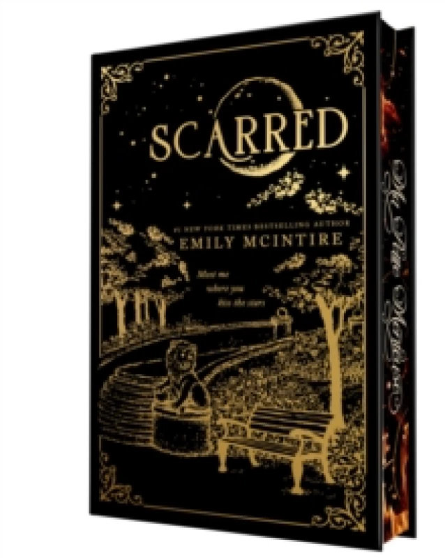Image of Scarred (Collector's Edition) : A Dark Contemporary Romance and Fractured Fairy Tale (Never After Book 2) Hardback