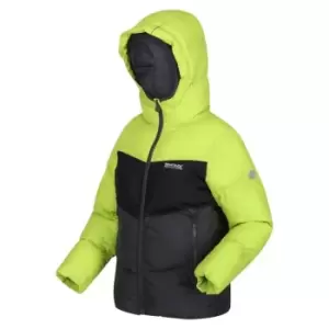 Image of Regatta Lofthouse VI Quilted Jacket - BriKiwi/Blk