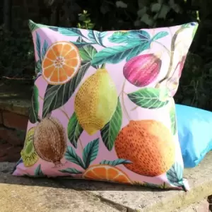 Image of Evans Lichfield - Citrus Print Outdoor Cushion Cover, Multi, 43 x 43 Cm