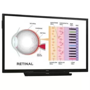 Image of 65" Black Interactive Display 4K Ultra HD 350 cd/m2