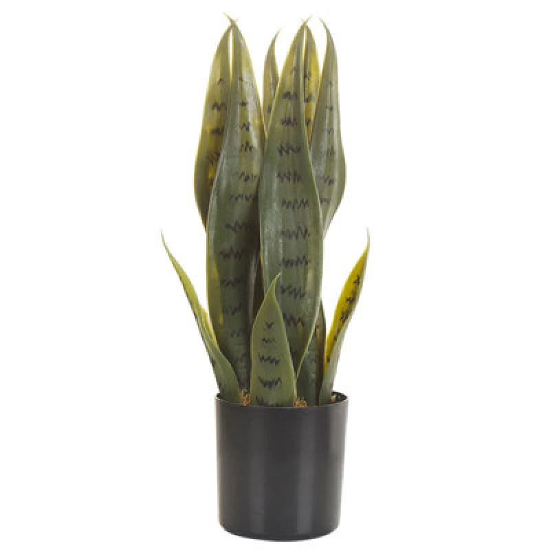 Image of Beliani Artificial Plant Snake Plant 40 Cm Green