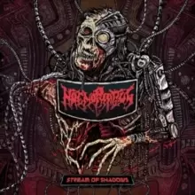 Image of Stream of Shadows