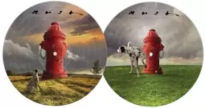 Image of Rush Signals LP multicolor