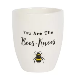 Image of You Are the Bees Knees Ceramic Plant Pot
