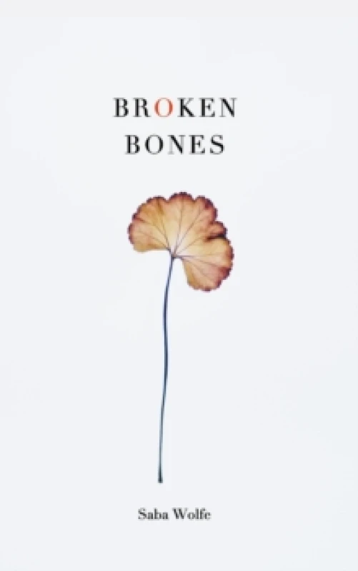 Image of Broken Bones Paperback / softback