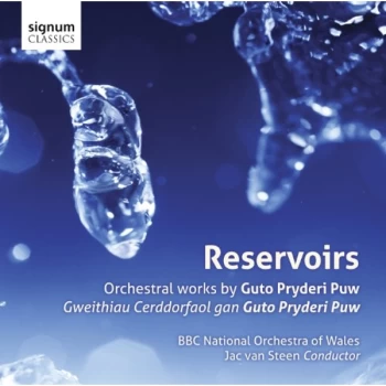 Image of David Cowley - Guto Pryderi Puw: Reservoirs CD
