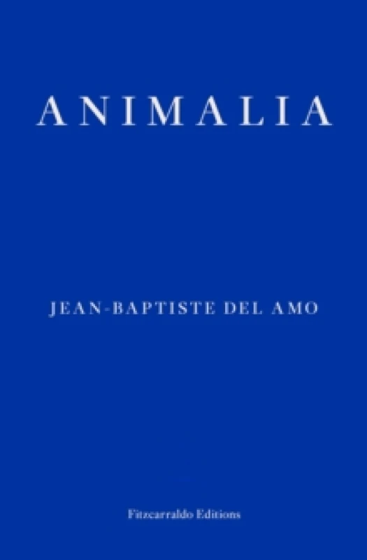 Image of Animalia Paperback / softback