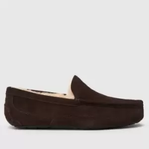 Image of UGG Brown Ascot Slippers