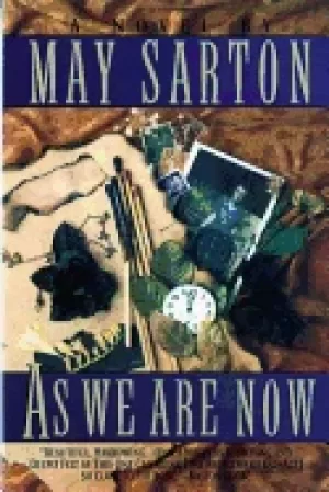 Image of as we are now a novel
