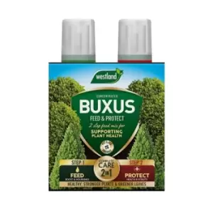 Image of Westland Westland 2 in1 Feed and Protect Buxus - 2 x 500ml